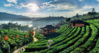 Discover the Best of Southern India: Mysore, Ooty, and Kodaikanal Tour Package