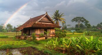 Discover the Best Kerala Tour Packages for Family Adventures