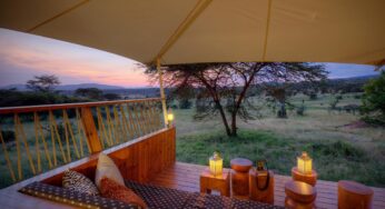 Bushtops raises the bar for Wild Luxury in East Africa