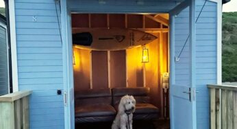 The rise of the “Hut dog!” A third more owners take their dogs on a beach hut holiday this summer