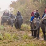 Assam Tour Packages