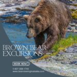 Brown Bear Excursions