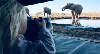 Mashatu unveils family safari specials in Botswana