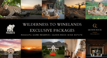 A Perfect Pairing: Mashatu Wilderness meets Cape Winelands