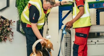 Swissport Introduces Pet Lounge at Johannesburg Airport to Enhance Animal Travel Experience