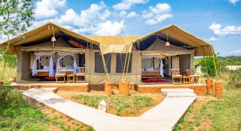 Cruzeiro Safaris Kenya Expresses Gratitude and Welcomes 2025 Adventure Seekers