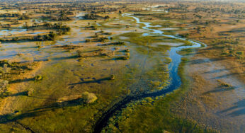 Singita Expands with Purpose: Announcing Elela in Botswana