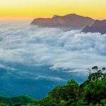 munnar tour package from cochin