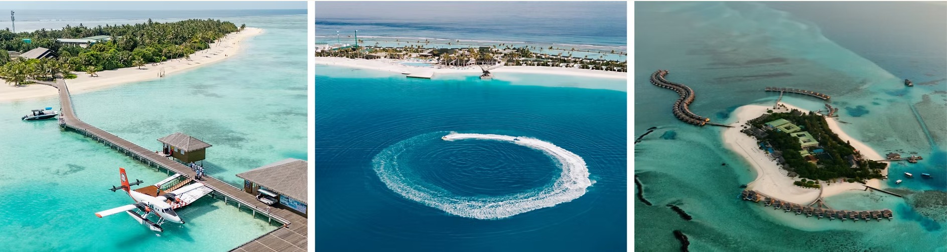 The Cocoon Collection