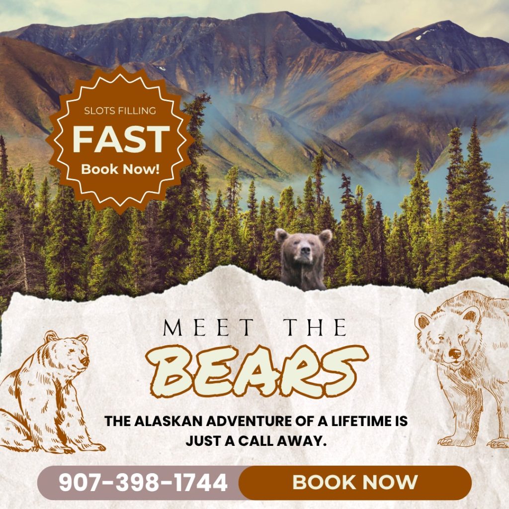 bear viewing in alaska