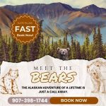 bear viewing in alaska