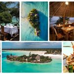 The Island Pongwe by The Cocoon Collection