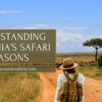 Tanzania Travel advisory about safari booking seasons